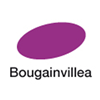 Image Bougainvillea 6170